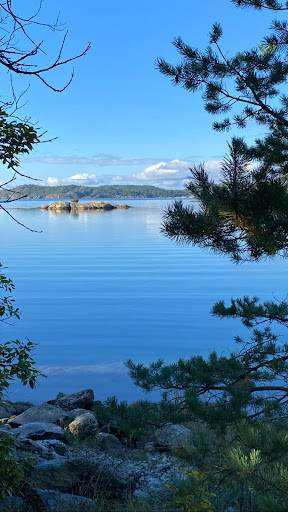 Beautiful veiw of lake with trees in the foreground