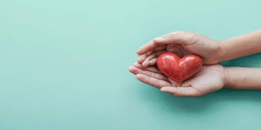 Heart resting in two hands cupped together